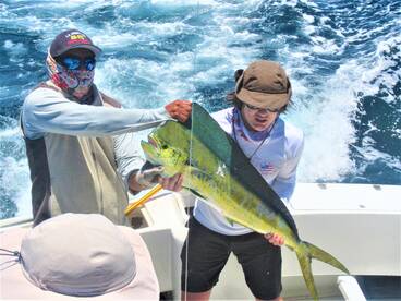 Cabo San Lucas Report Photo 2