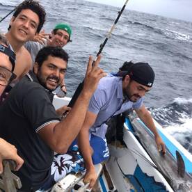 Manzanillo Report Photo 1
