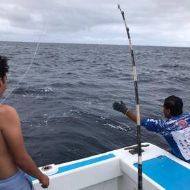 Manzanillo Report Photo 2