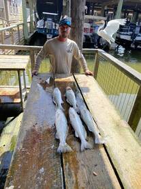 Galveston Report Photo 1