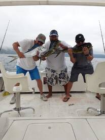 Mahi Mahi fishing report in Puerto Vallarta