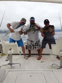 Mahi Mahi fishing report in Puerto Vallarta
