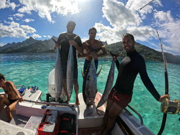 Moorea-Maiao Report Photo 1