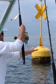 Quepos Report Photo 1