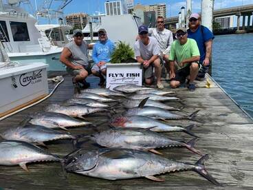 Weekend Tuna Bonanza