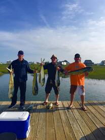 Ocean City Report Photo 1
