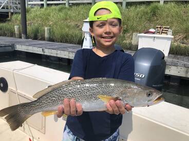 Southold Report Photo 1