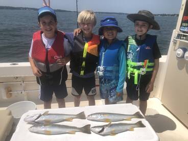 Southold Report Photo 2