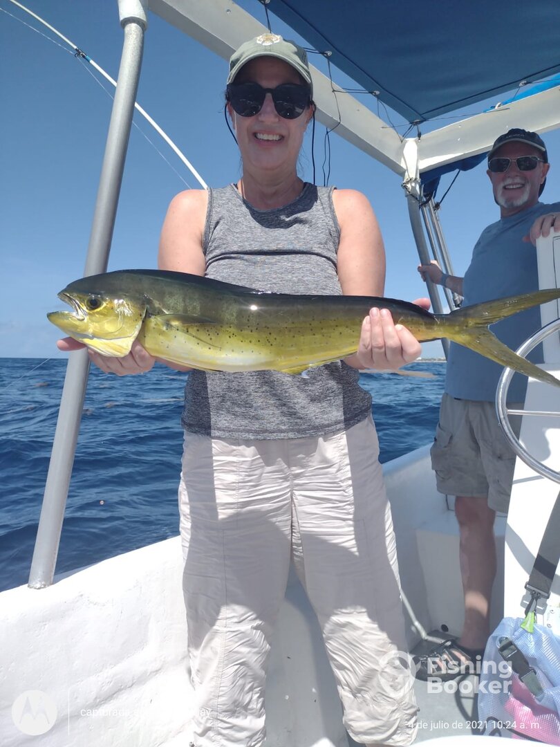 Playa Del Carmen Report Photo 0