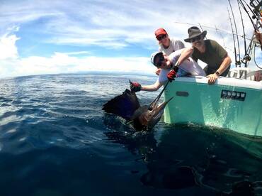 Quepos Report Photo 2