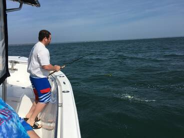 Bourne Report Photo 2