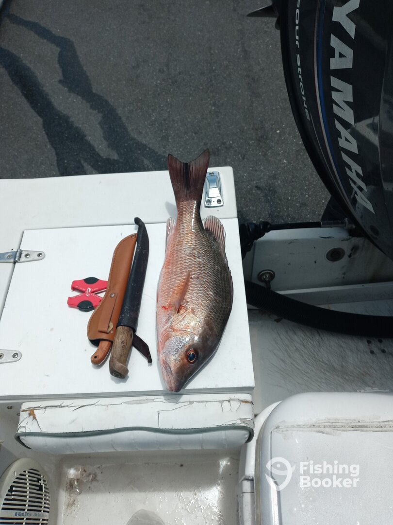 Port Canaveral Report Photo 0