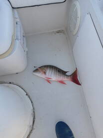Port Canaveral Report Photo 1