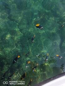 The trips are not just fishing