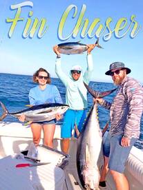 Wrangling Yellowfin Cows!