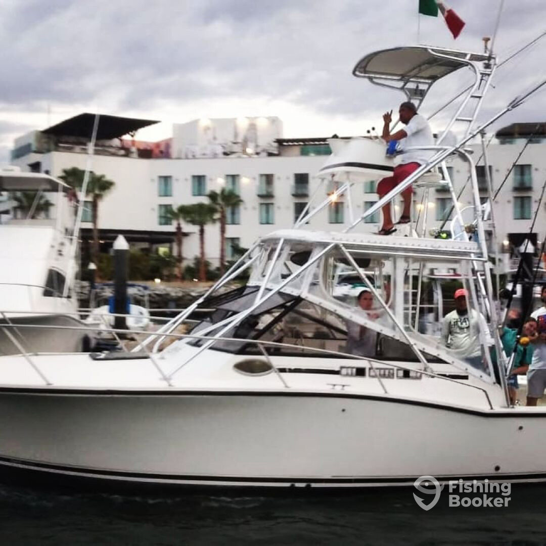 San Jose del Cabo Report Photo 0