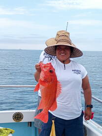 Ensenada Report Photo 1