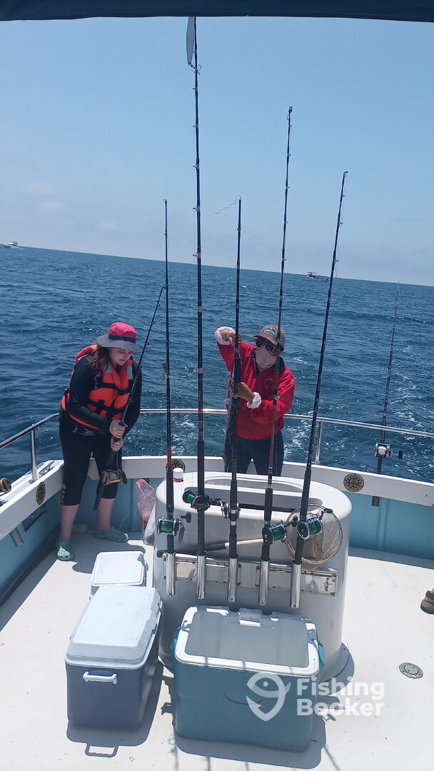 Ensenada Report Photo 0