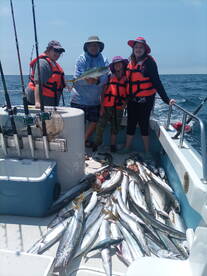 Ensenada Report Photo 1