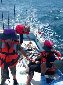 Ensenada Report Photo 2