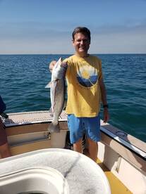 Nice Corvina.