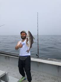 Haddock haddock haddock