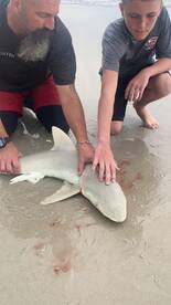 New Smyrna Beach Report Photo 1