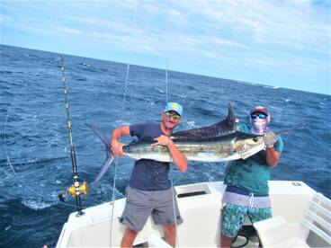 Cabo San Lucas Report Photo 1