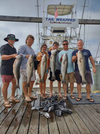 Striped bass & black sea bass