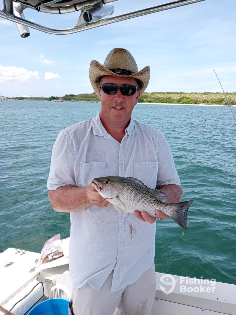 Nice keeper mangove snapper