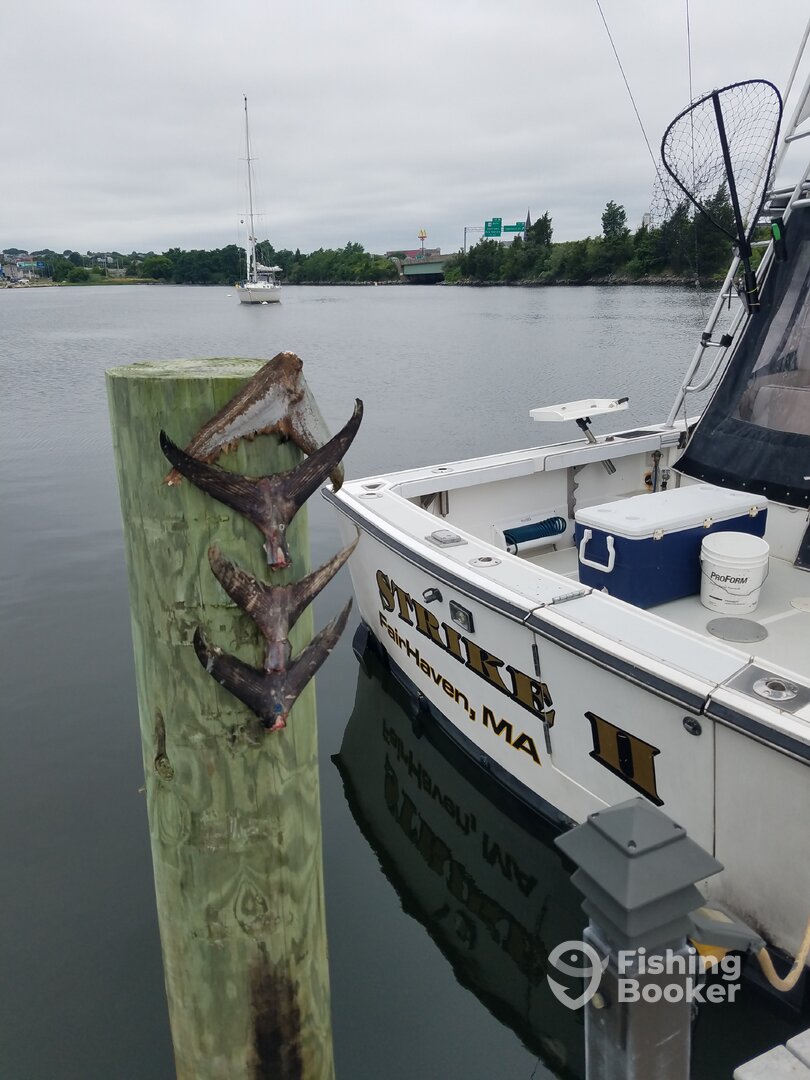 Fairhaven Report Photo 0