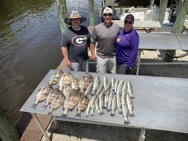 St. Bernard Report Photo 2