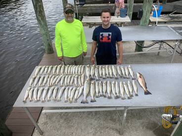 St. Bernard Report Photo 1