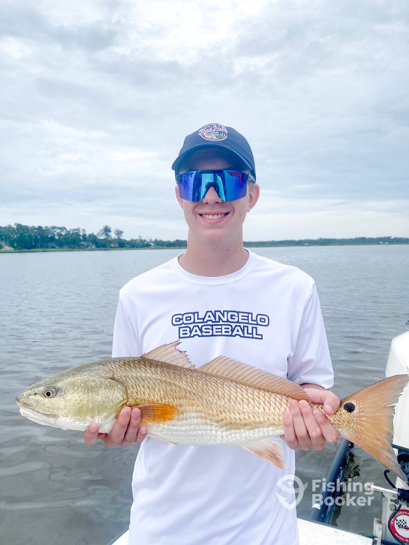 Beaufort Report Photo 0