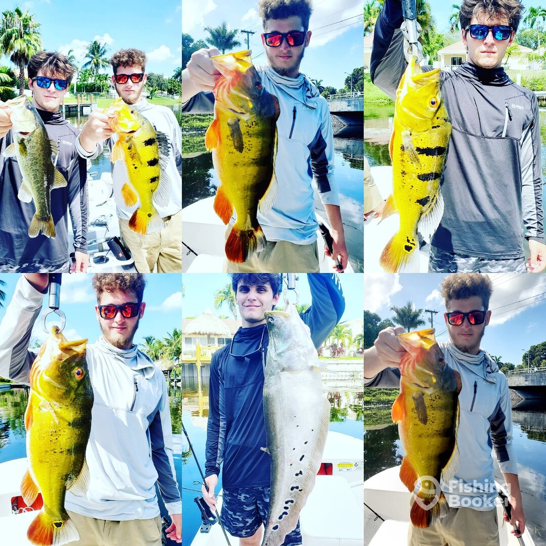 Delray Beach Report Photo 0