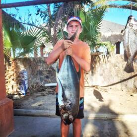 San Jose del Cabo Report Photo 1