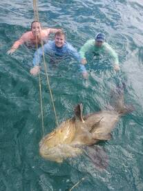 SEA MONSTER (and some regular fish)