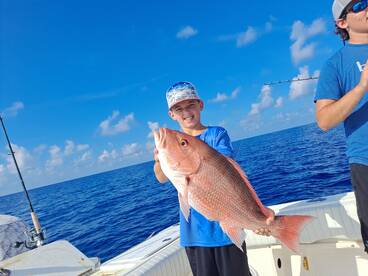 St. Petersburg Report Photo 2