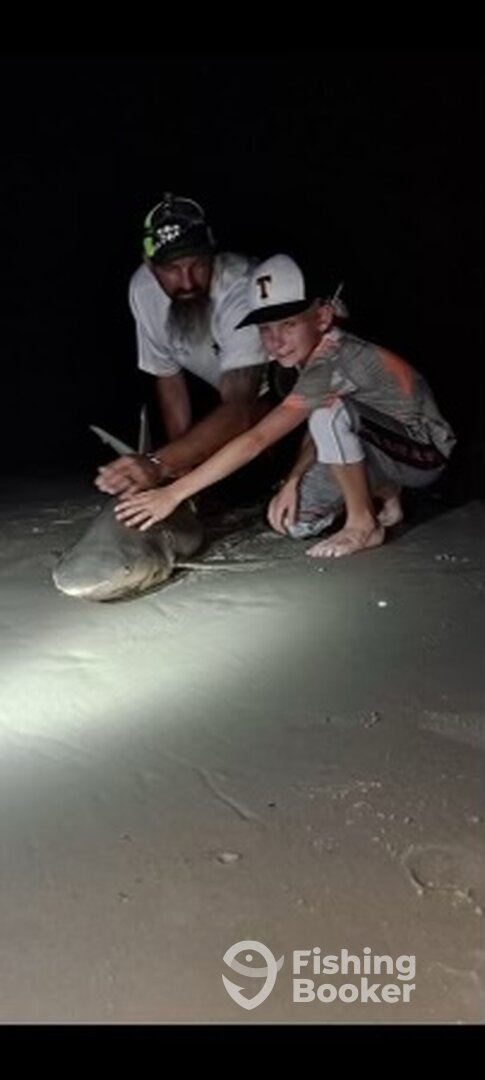 New Smyrna Beach Report Photo 0