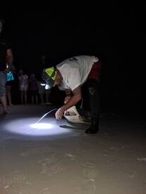New Smyrna Beach Report Photo 2