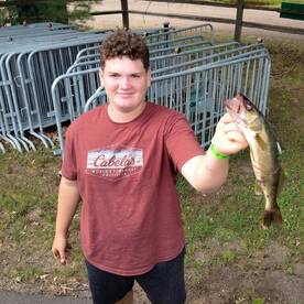 summer walleye