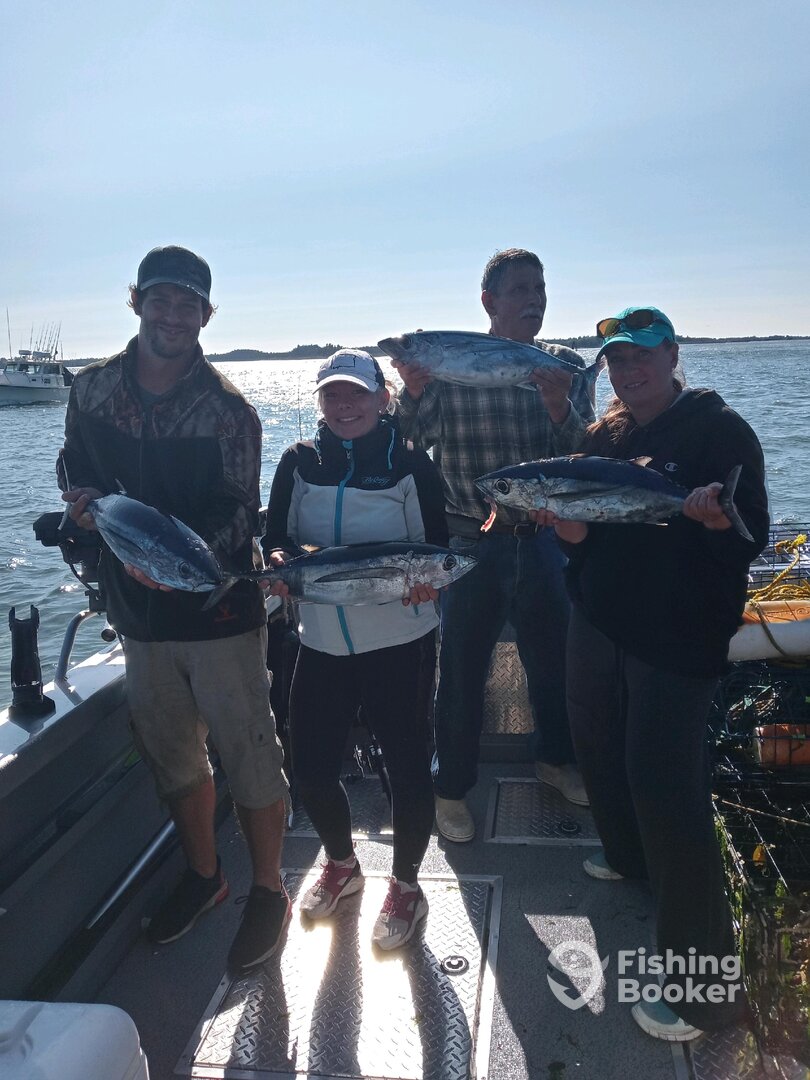 Garibaldi Report Photo 0