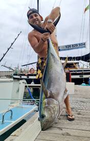 Calheta Report Photo 1