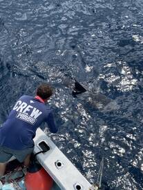 Boynton Beach Report Photo 2