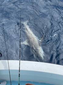 Boynton Beach Report Photo 1