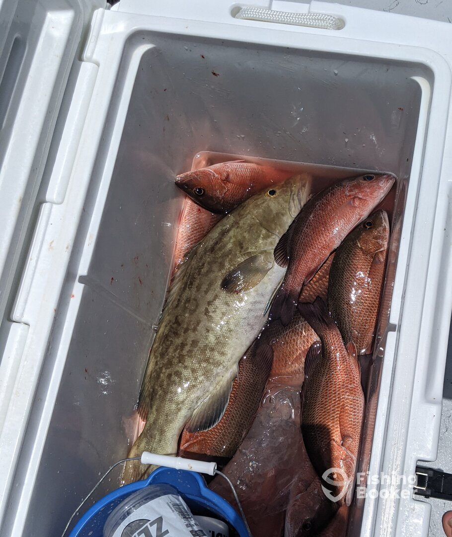 Ruskin Report Photo 0