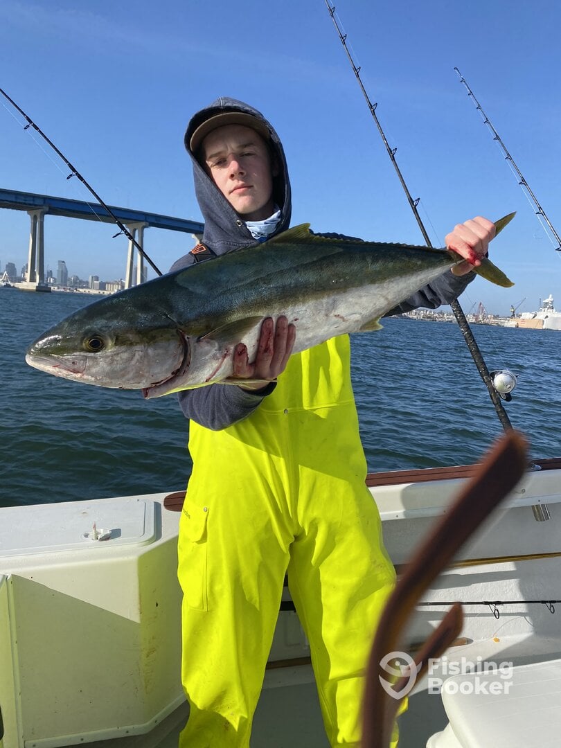Coronado Report Photo 0