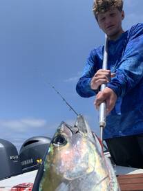 Coronado Report Photo 3