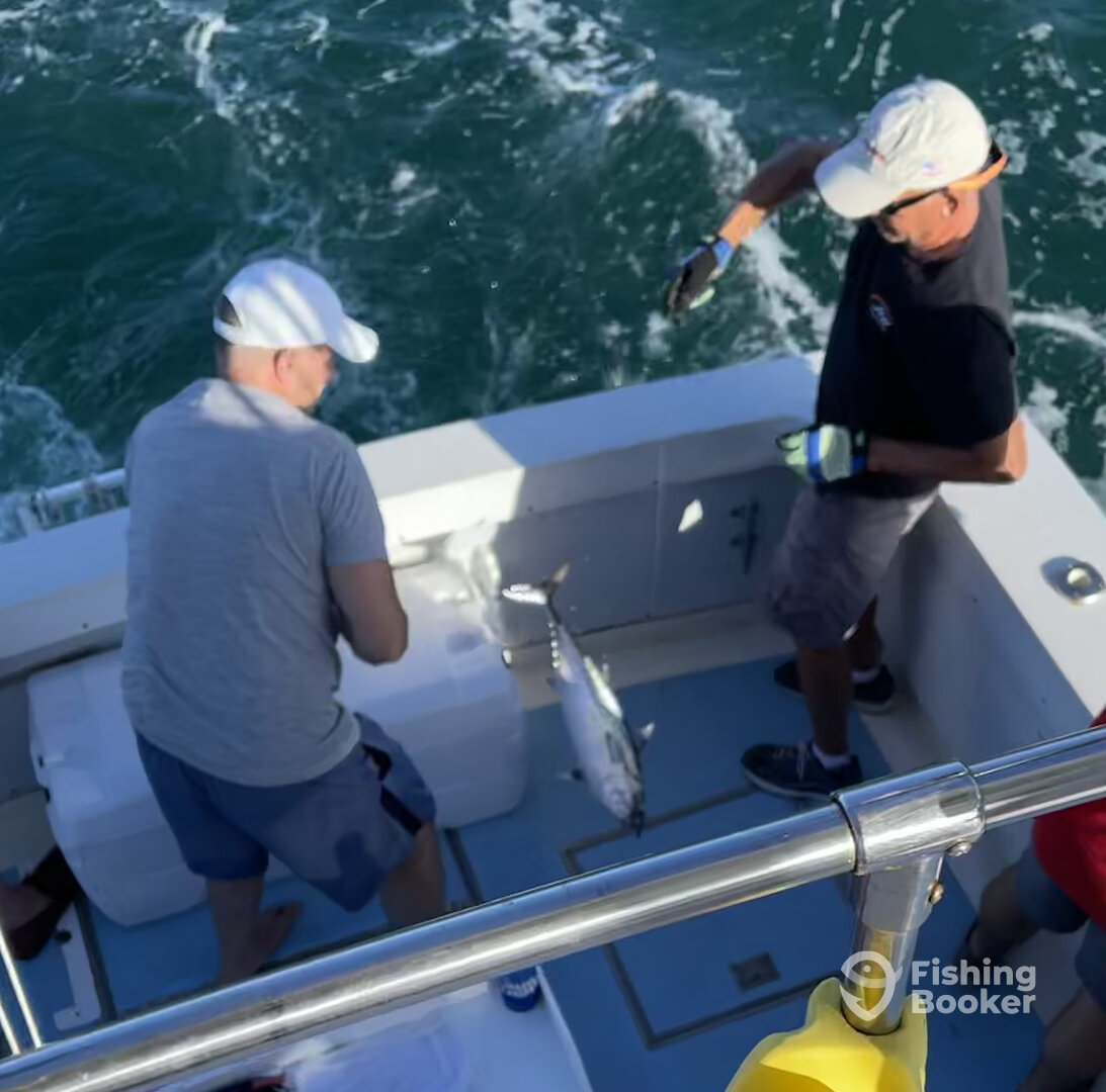 Redington Shores Report Photo 0