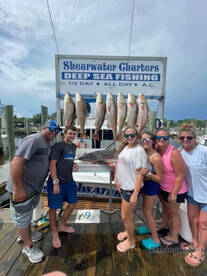 Nice mess of Reds and a black tip shark